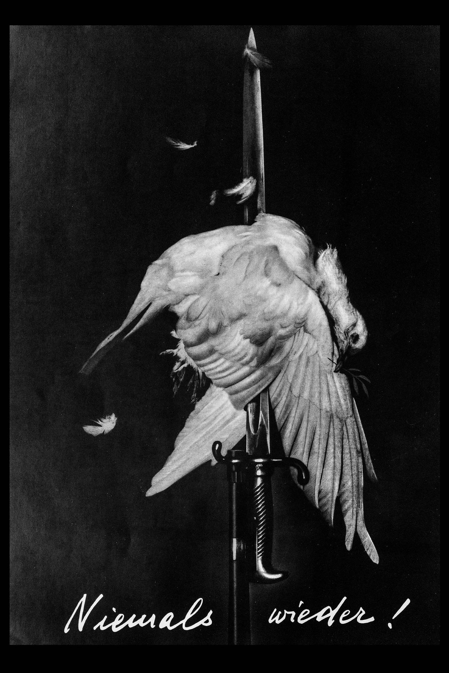 Famous Antiwar Posters. Most Famous Antiwar Image. Artist John Heartfield Poster A dove on a bayonet (Niemals Weider)